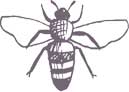 little bee